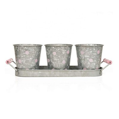 Modern Farmhouse Vintage Galvanized Metal Herb Plant Herb Pot Planter with Tray